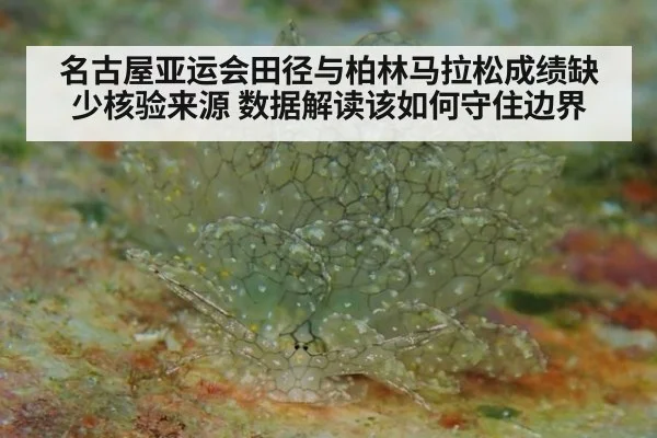 名古屋亚运会田径与柏林马拉松成绩缺少核验来源 数据解读该如何守住边界